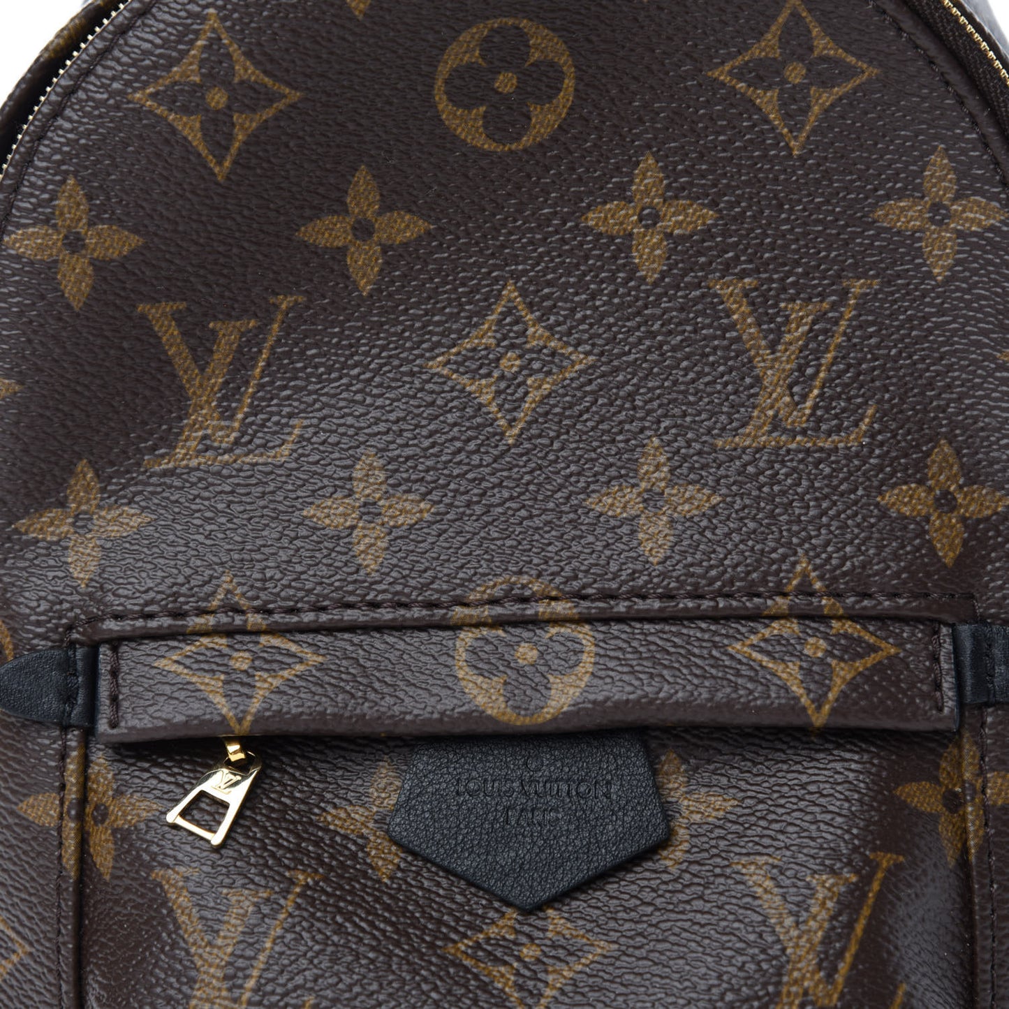Monogram Palm Springs Backpack Mini