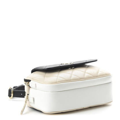 Chanel Goatskin Quilted Waist Bag Beige White Black 4 of 10