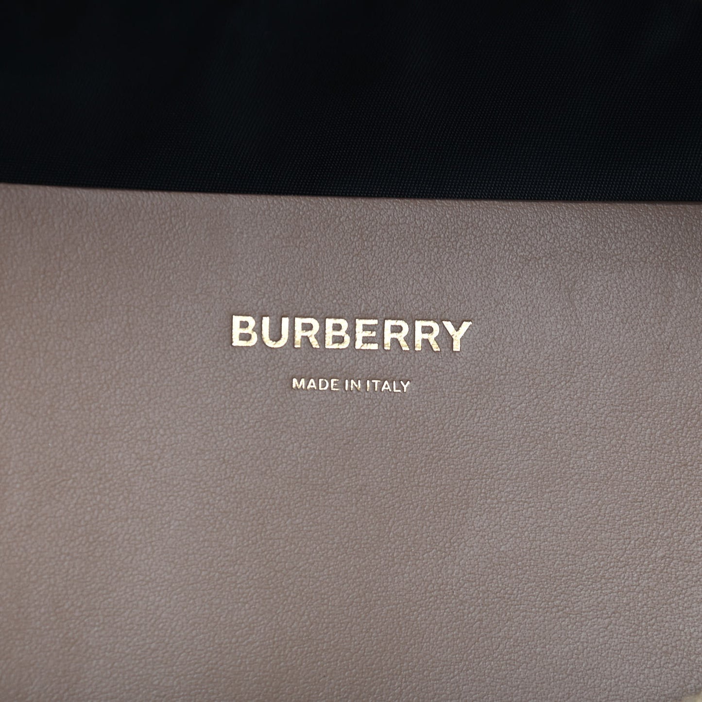 Nylon Monogram Sonny Bum Bag Blush
