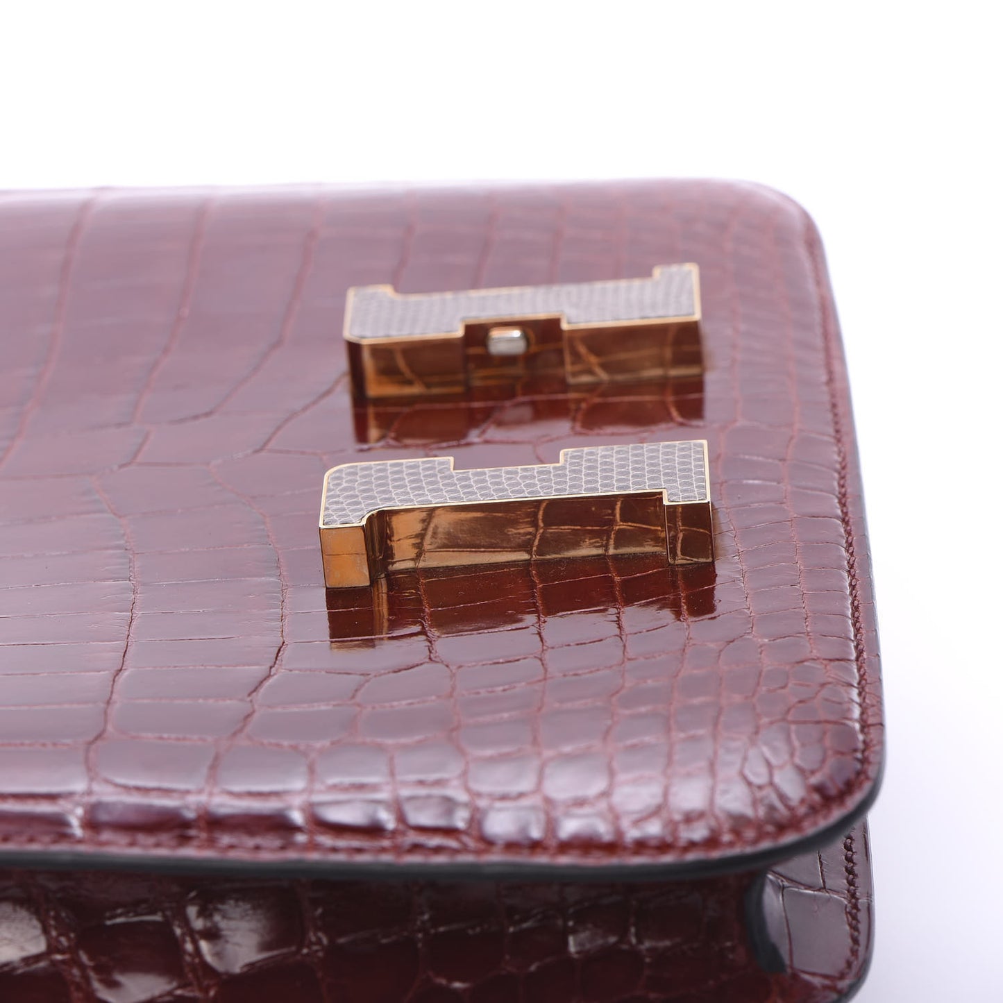 Shiny Niloticus Crocodile Lizard Marquette Constance 24 Rouge H