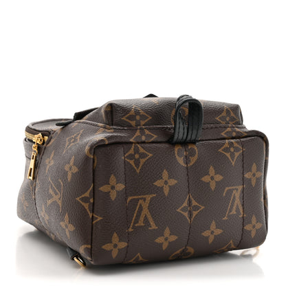 Louis Vuitton Monogram Palm Springs Backpack Mini 4 of 14