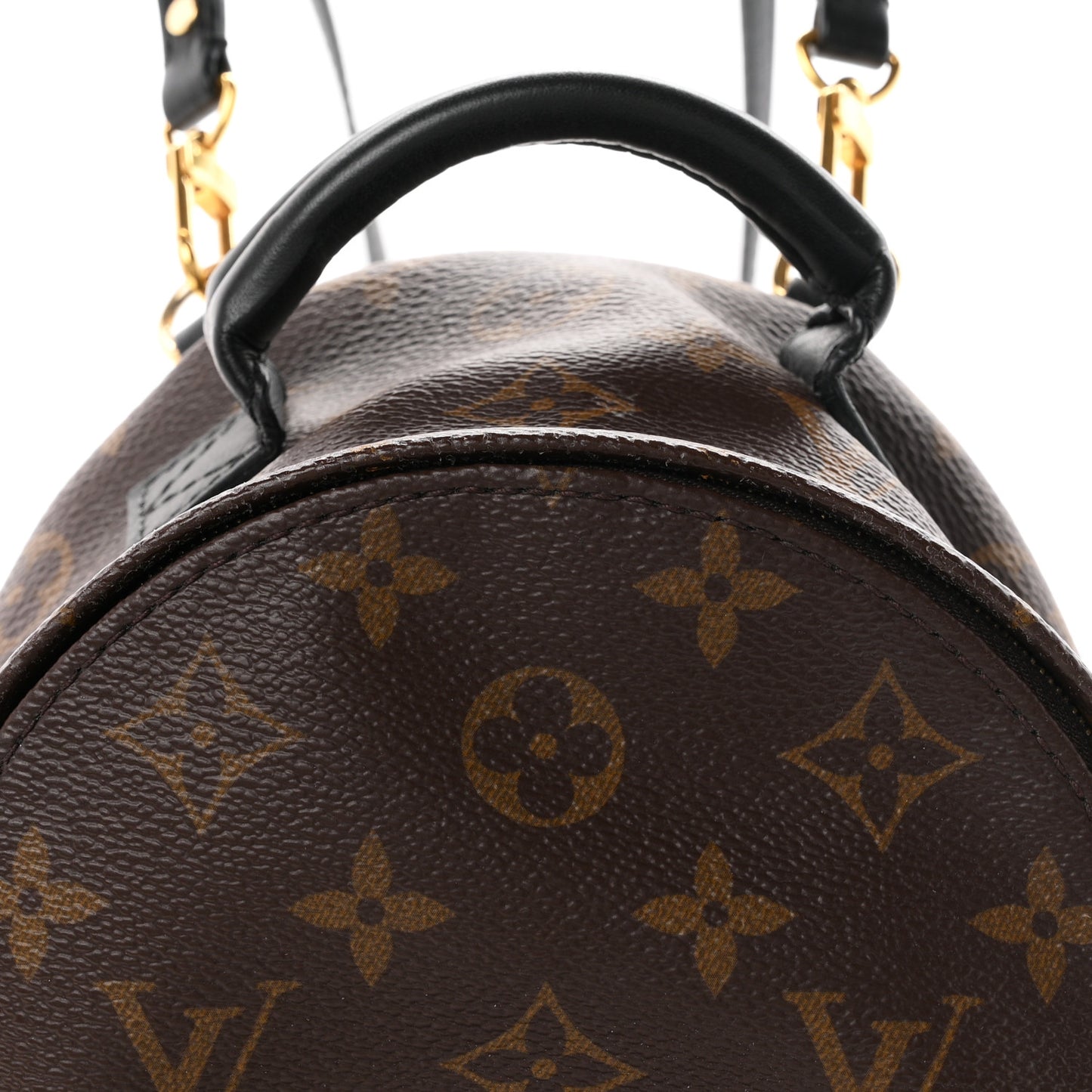 Monogram Palm Springs Backpack Mini