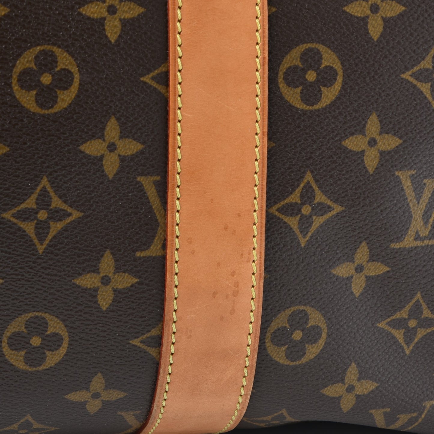 Monogram Carryall