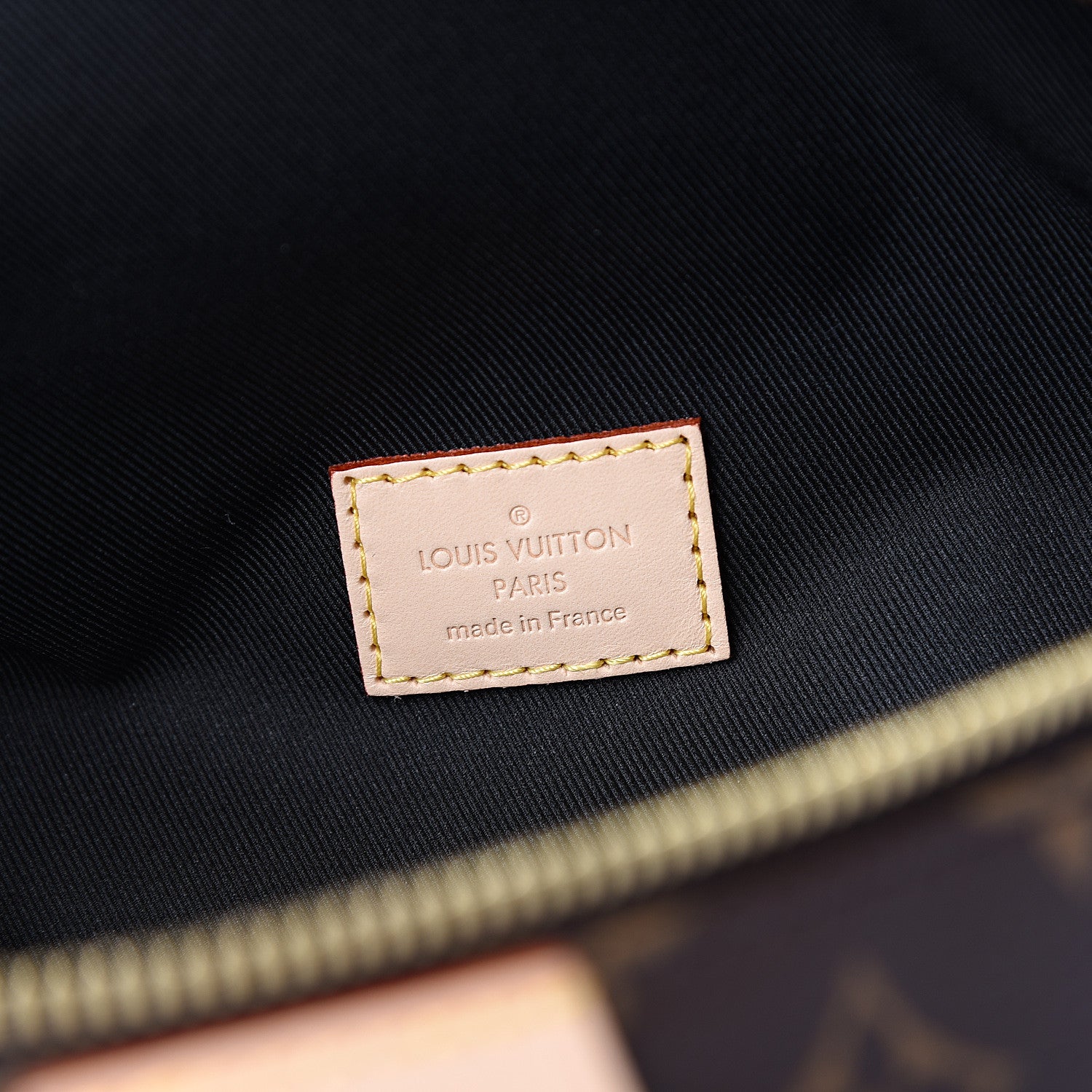 Louis Vuitton Monogram Bumbag 5 of 8