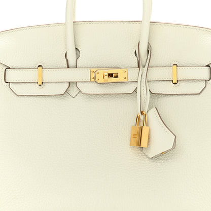 Hermes Togo Birkin 25 Mushroom 6 of 11