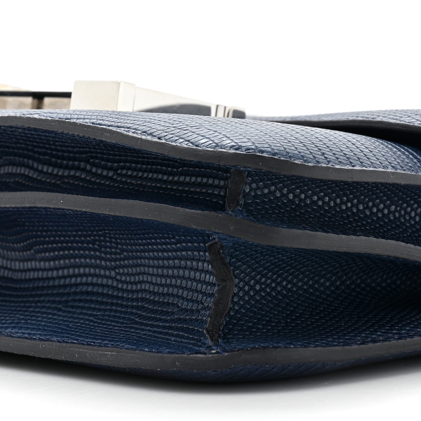 Niloticus Lizard Aizome Constance 18 Tomekon