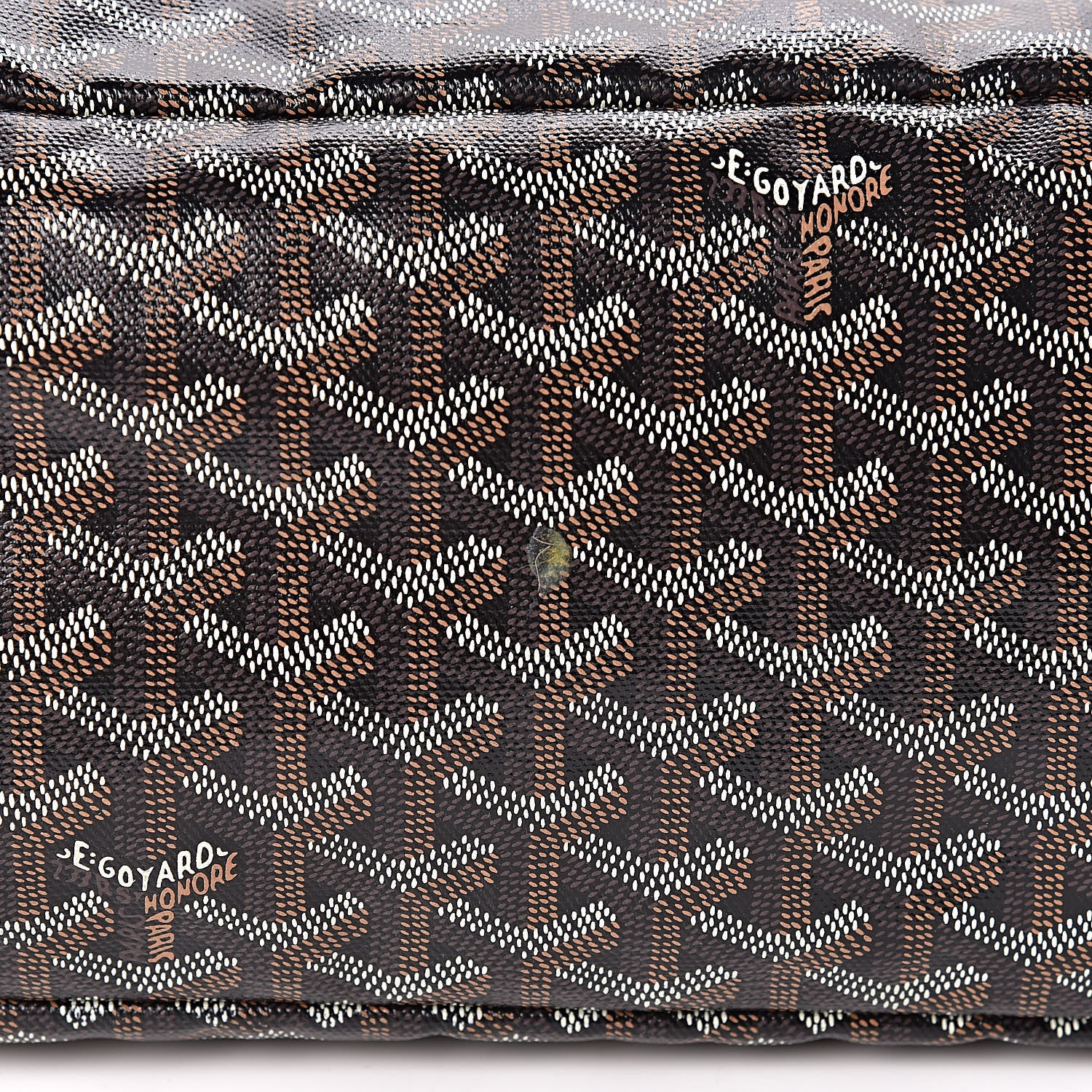 Goyard Goyardine Saint Louis PM Black 16 of 16