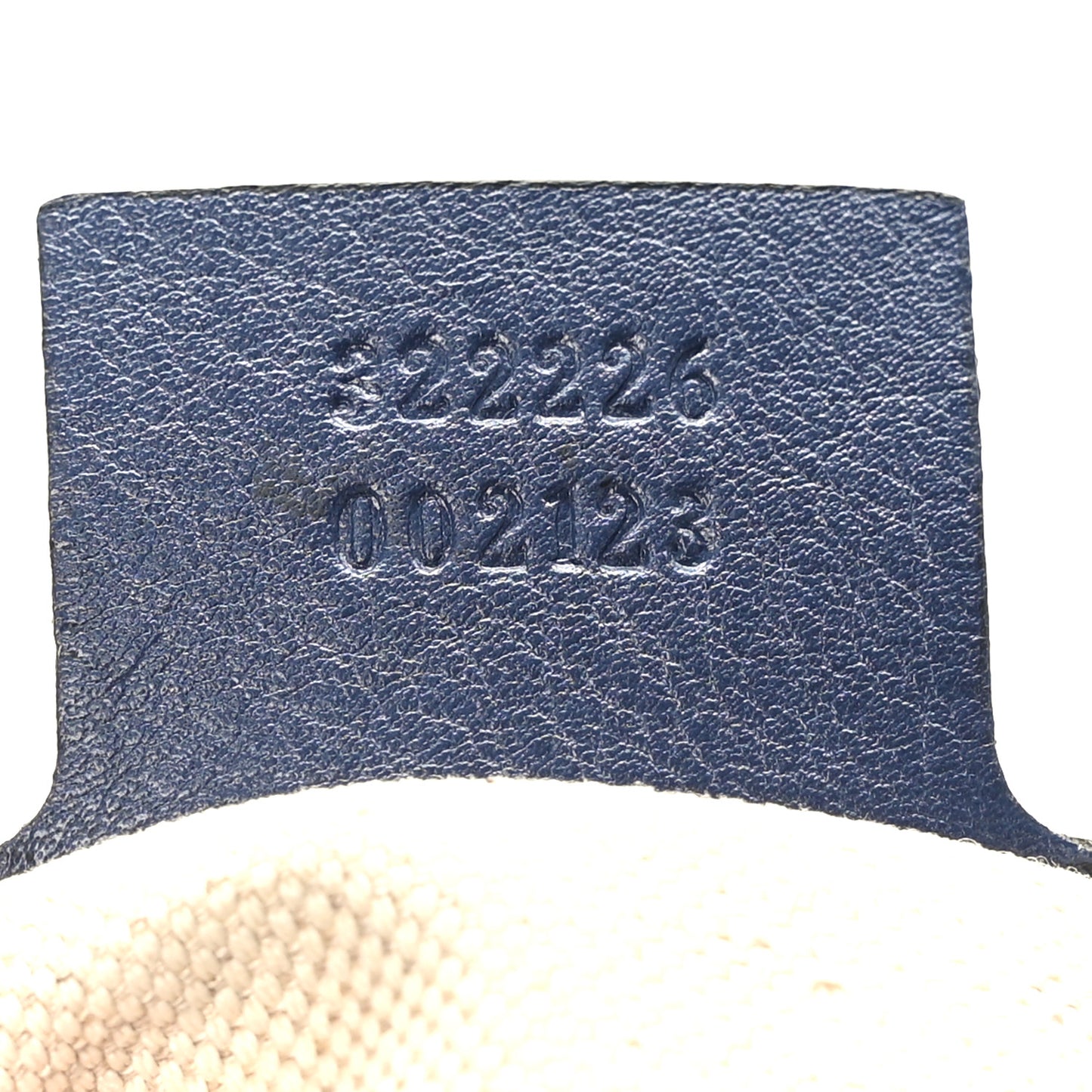 Guccissima Medium Emily Hobo Blue