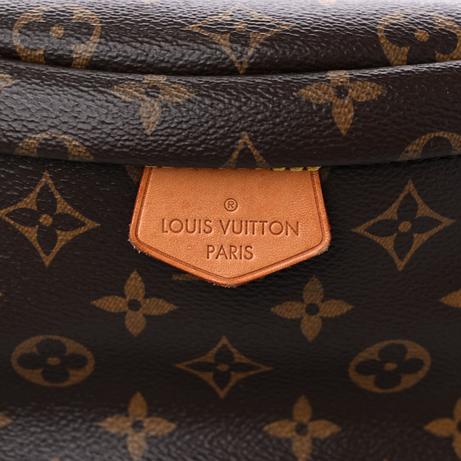 Louis Vuitton Monogram Bumbag 10 of 11
