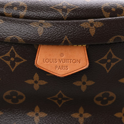 Louis Vuitton Monogram Bumbag 10 of 11