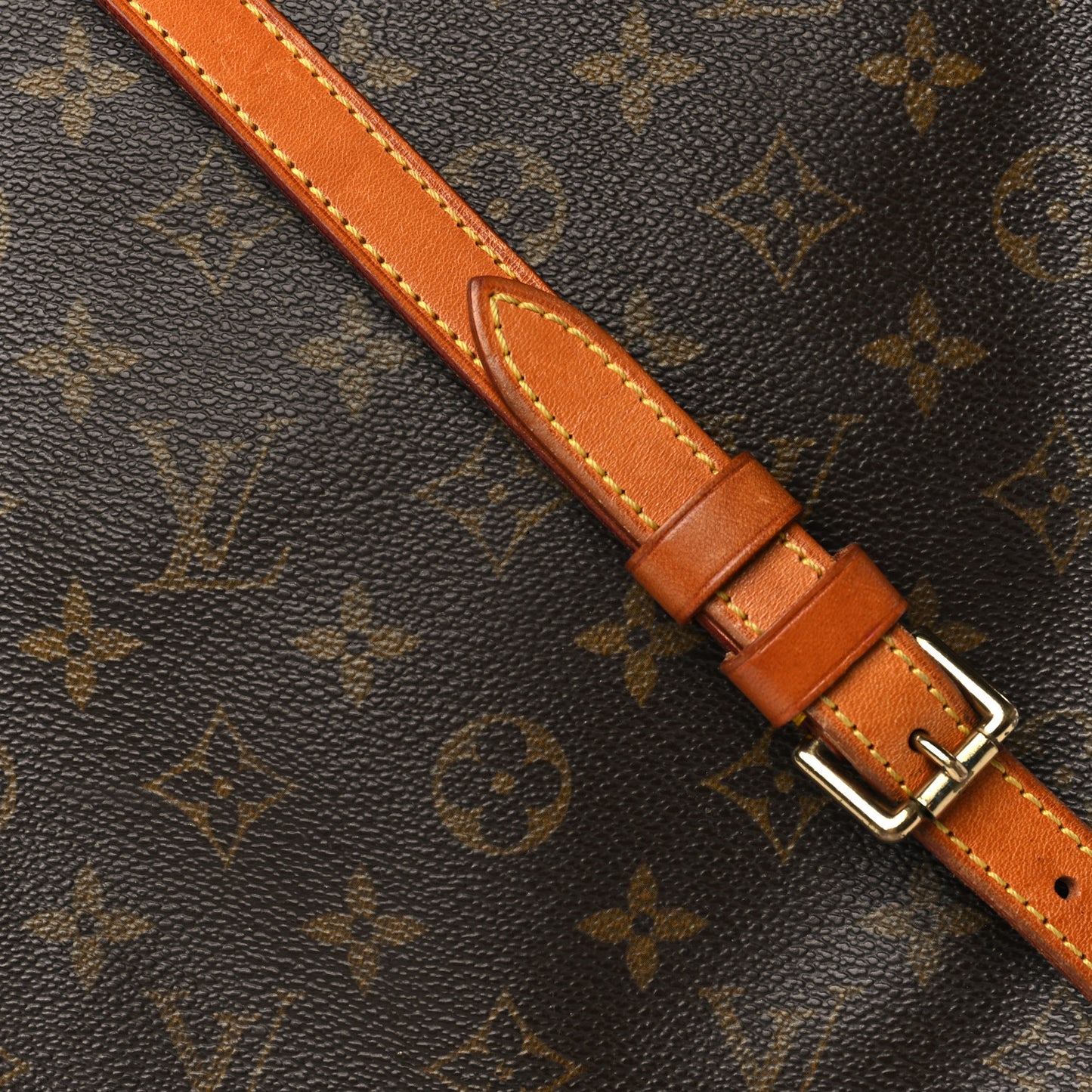 Monogram Musette Salsa