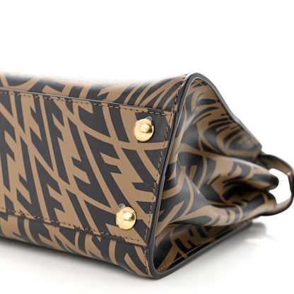 Fendi X SARAH COLEMAN Vitello Liberty Shiny Nappa Plexiglass FF Vertigo Mini Peekaboo Iconic Satchel 11 of 11