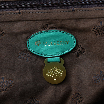 Mulberry Soft Buffalo Oversized Alexa Aqua Green 5 of 10