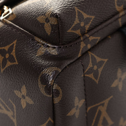 Louis Vuitton Monogram My World Tour Palm Springs Backpack Mini 7 of 11