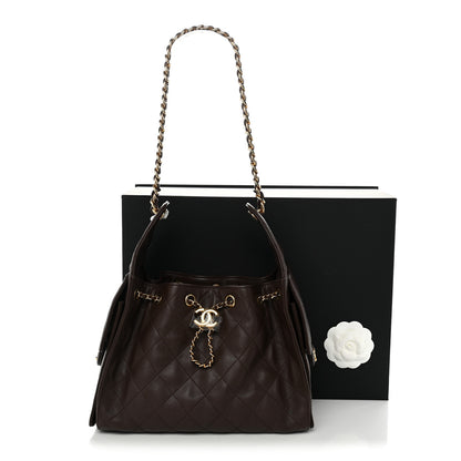 Chanel Caviar Quilted Small Chanel 25 Handbag Dark Brown 11 of 11