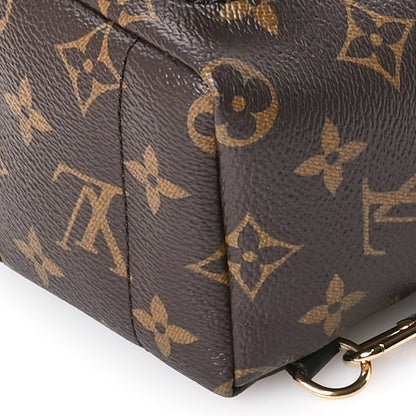 Louis Vuitton Monogram Palm Springs Backpack Mini 9 of 10