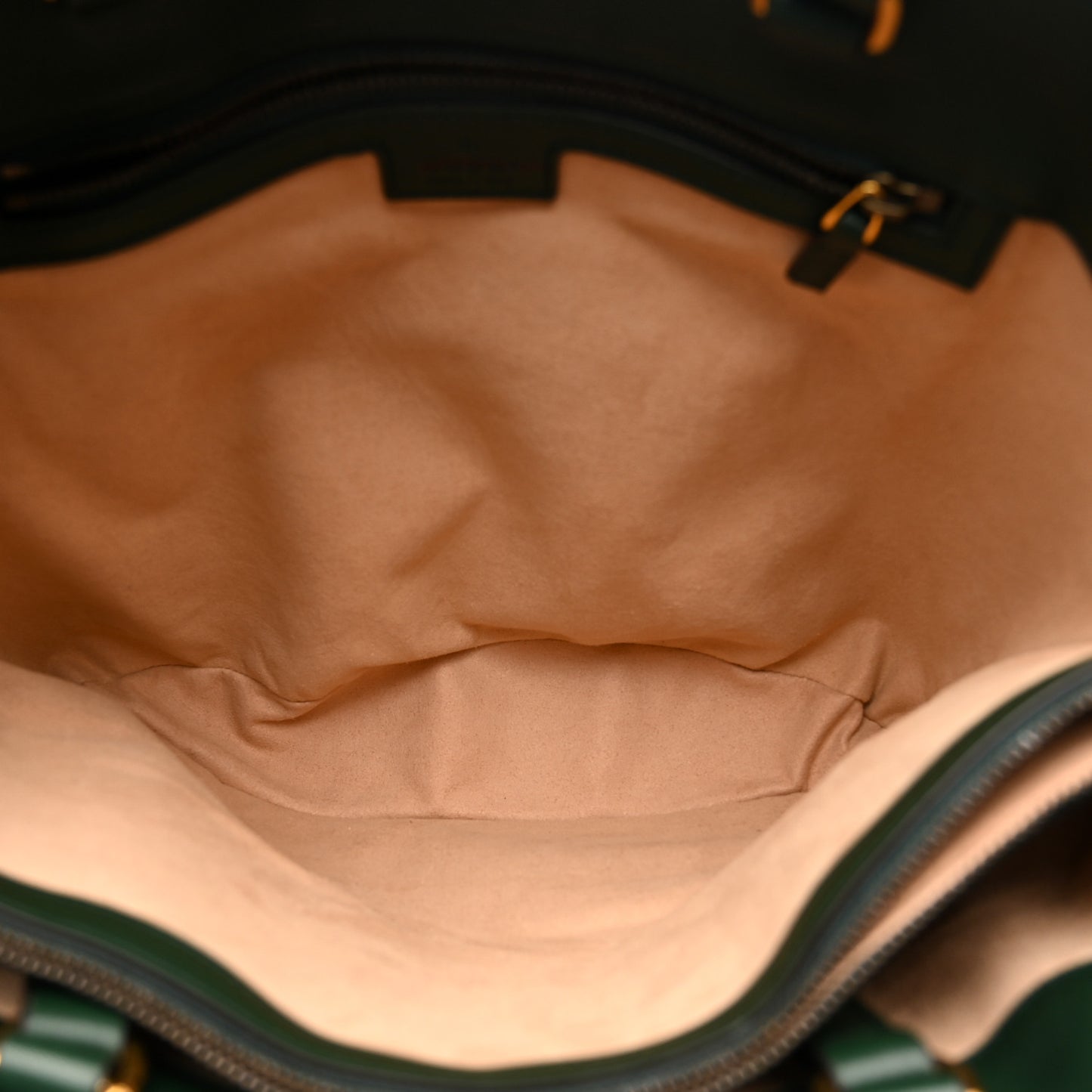 Softy Wonka Textured Dollar Calfskin Medium Diana Round Tote Bag Vintage Green Powder Pink