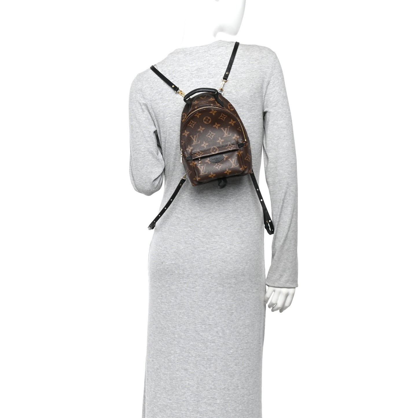 Monogram Palm Springs Backpack Mini