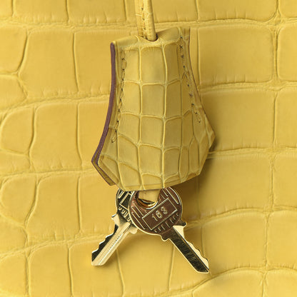 Hermes Matte Alligator Birkin 25 Jaune Ambre 30 of 33