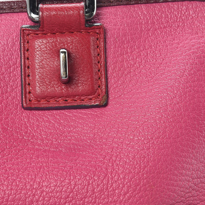 Loewe Goatskin Amazona 28 Pink 23 of 23