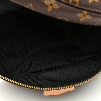 Louis Vuitton Monogram Bumbag 5 of 8