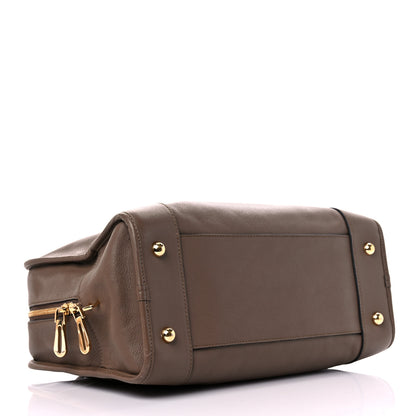 Loewe Calfskin Amazona 36 Mink 4 of 13
