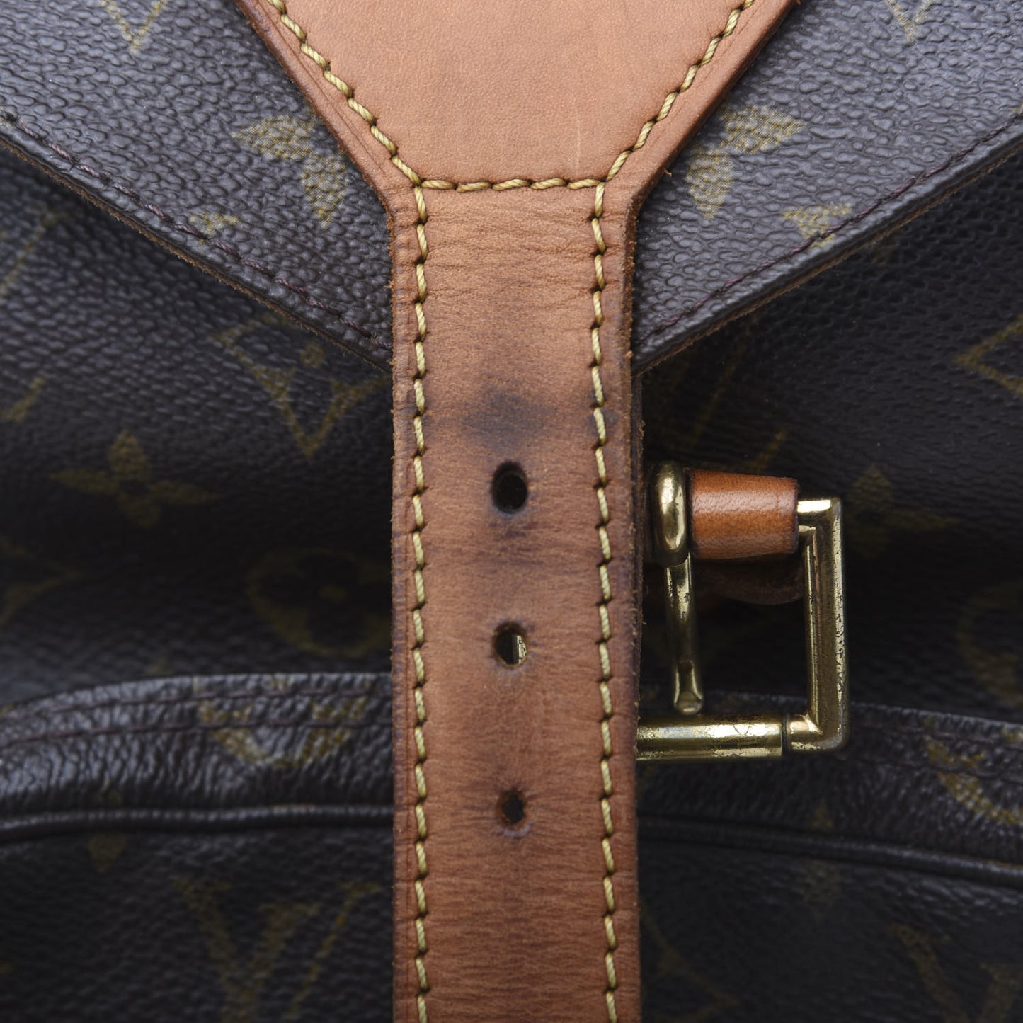 Monogram Montsouris GM Backpack