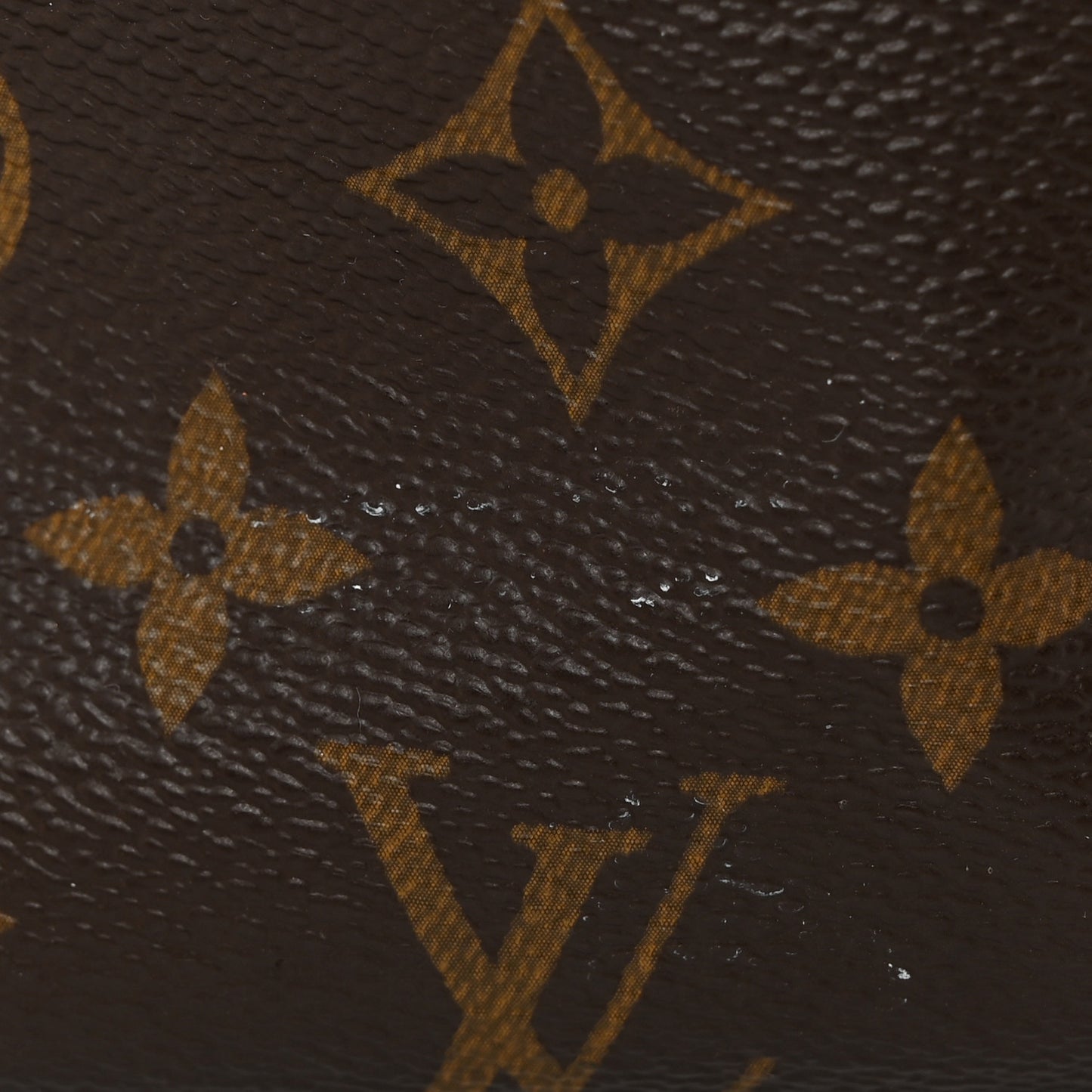 Monogram Carryall