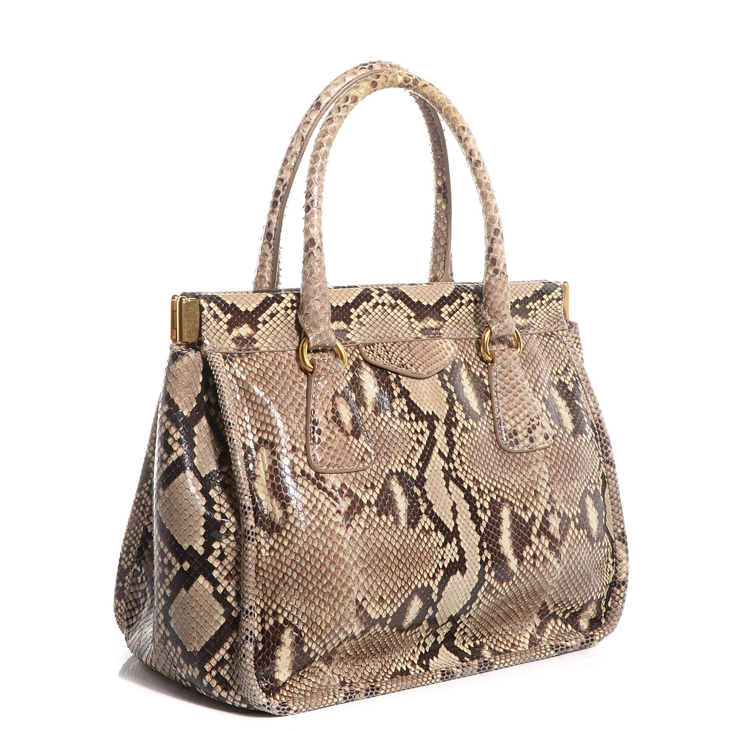 Prada Python Frame Bag Roccia 3 of 10