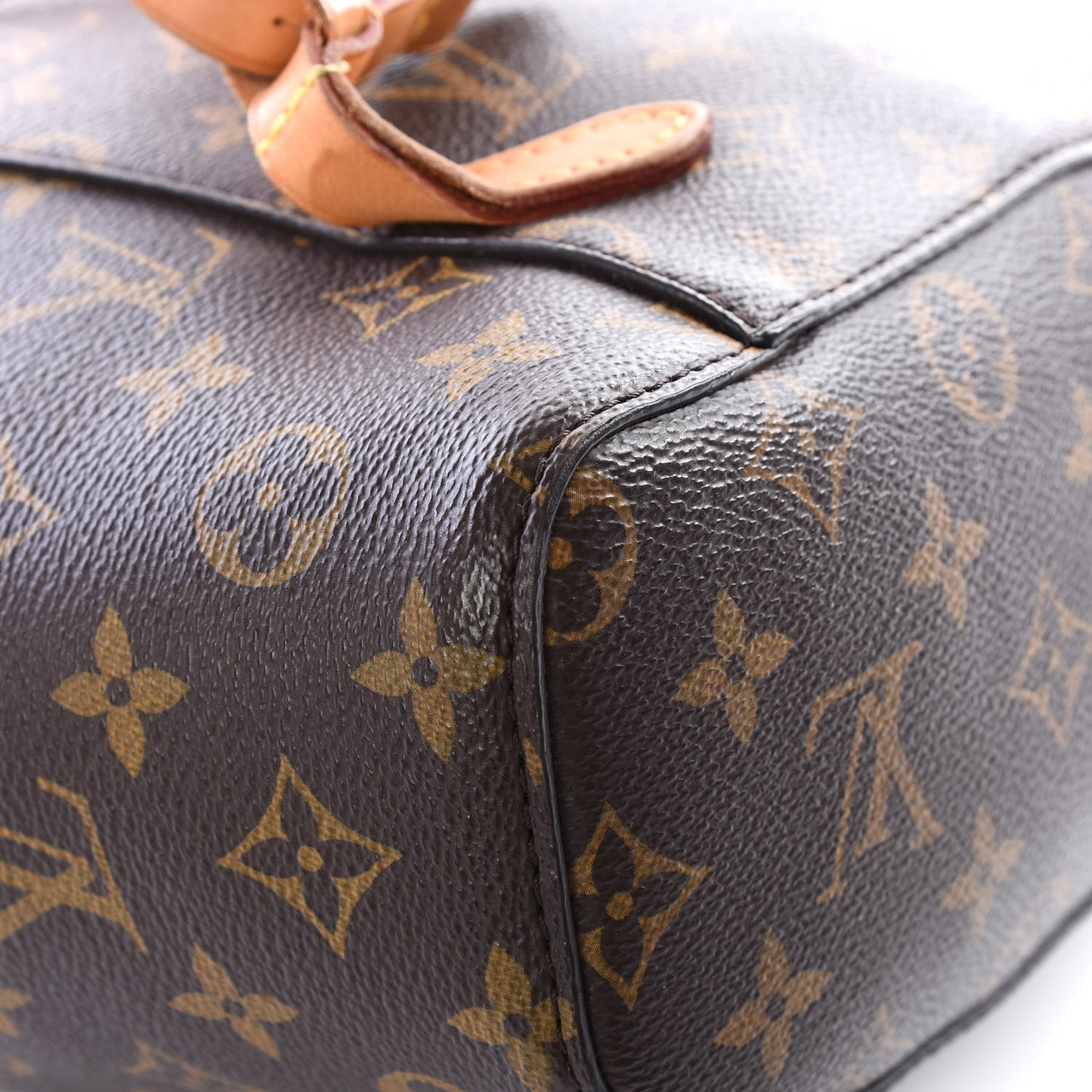 Monogram Montsouris NM Backpack