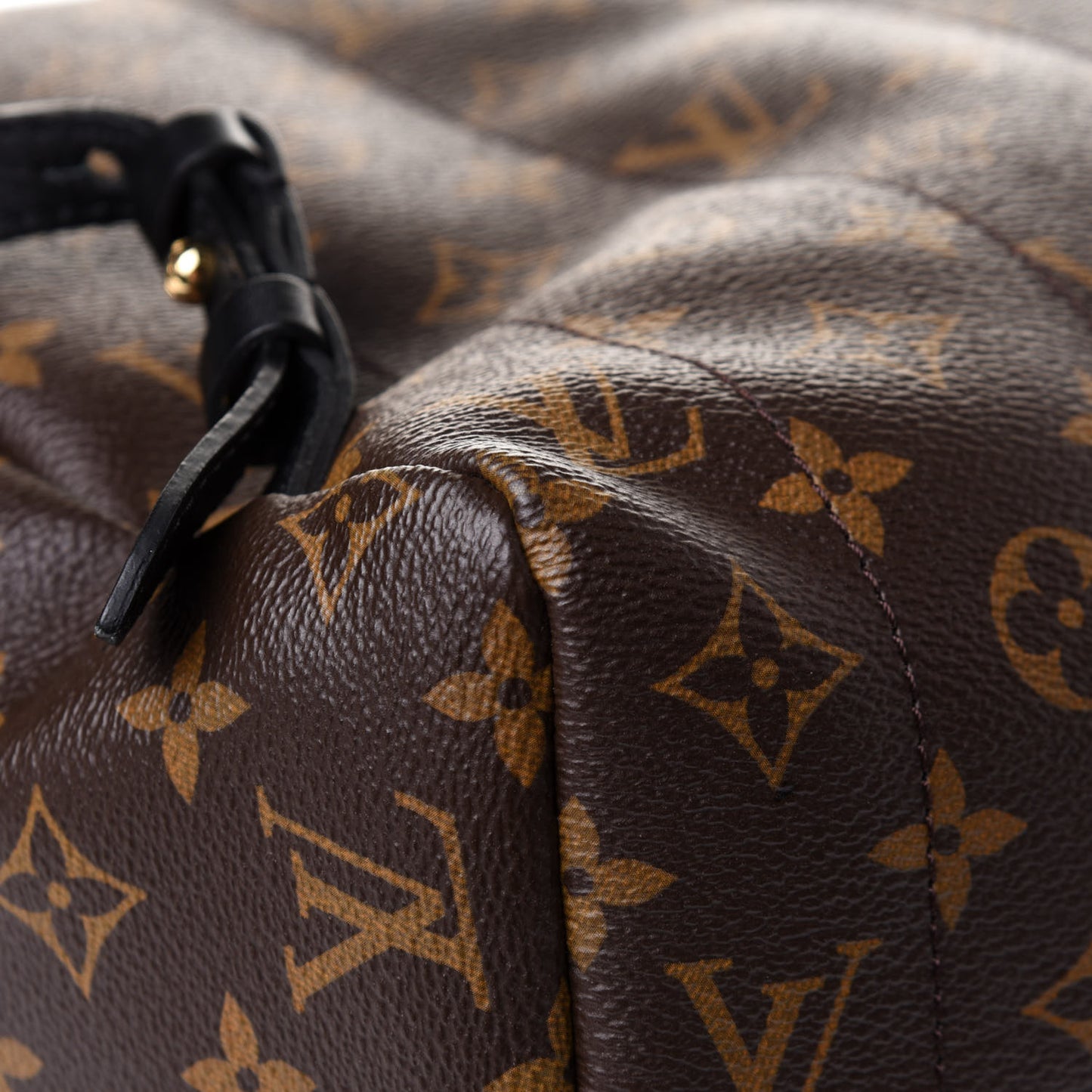 Monogram Palm Springs Backpack MM