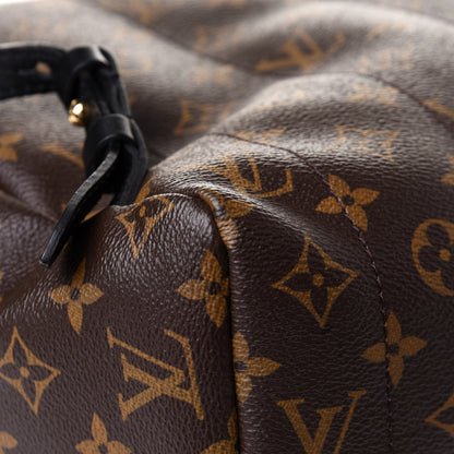 Louis Vuitton Monogram Palm Springs Backpack MM 11 of 12