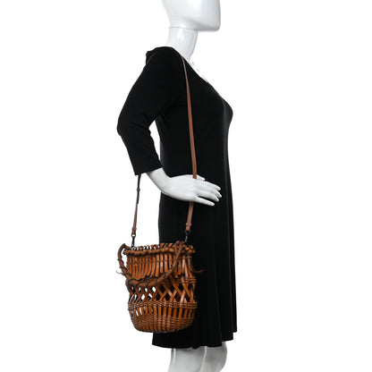 Loewe Calfskin Fringe Woven Small Bucket Bag Tan 2 of 9