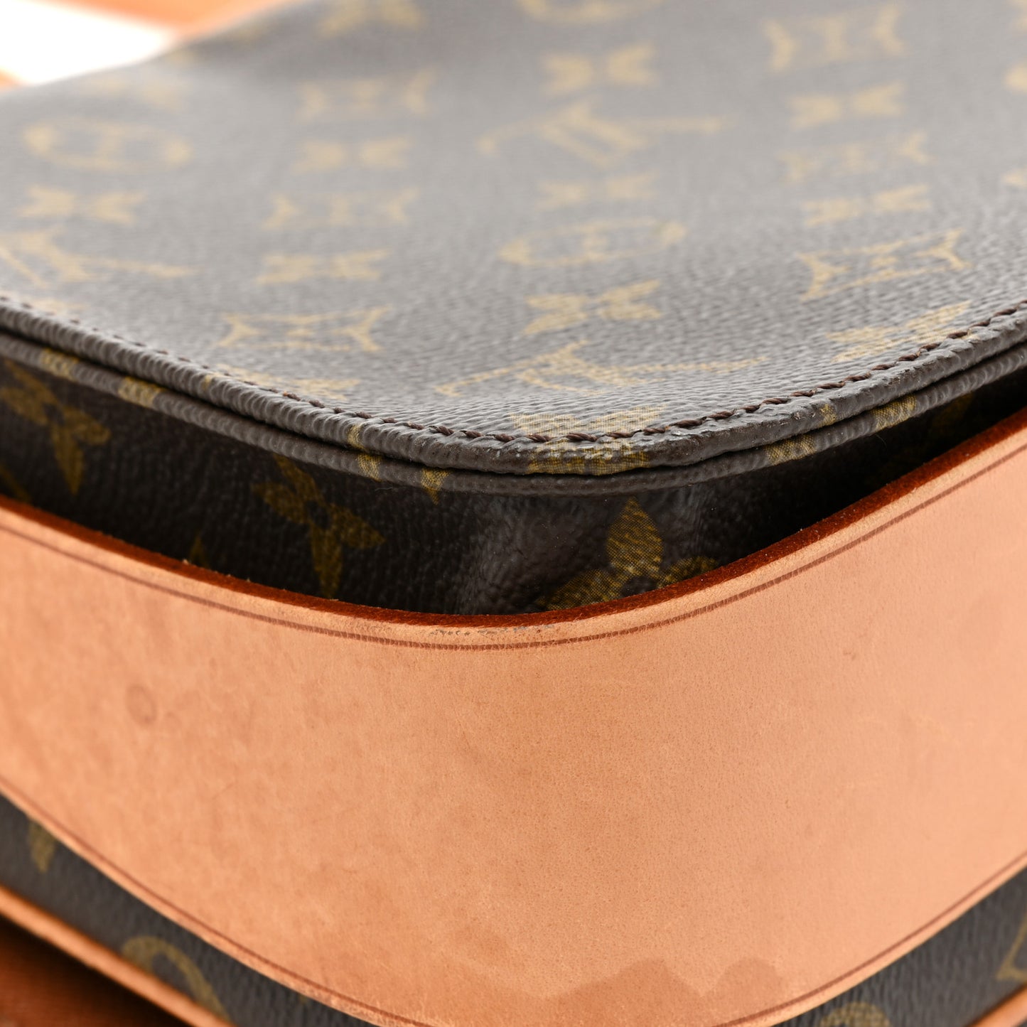 Monogram Cartouchiere 22