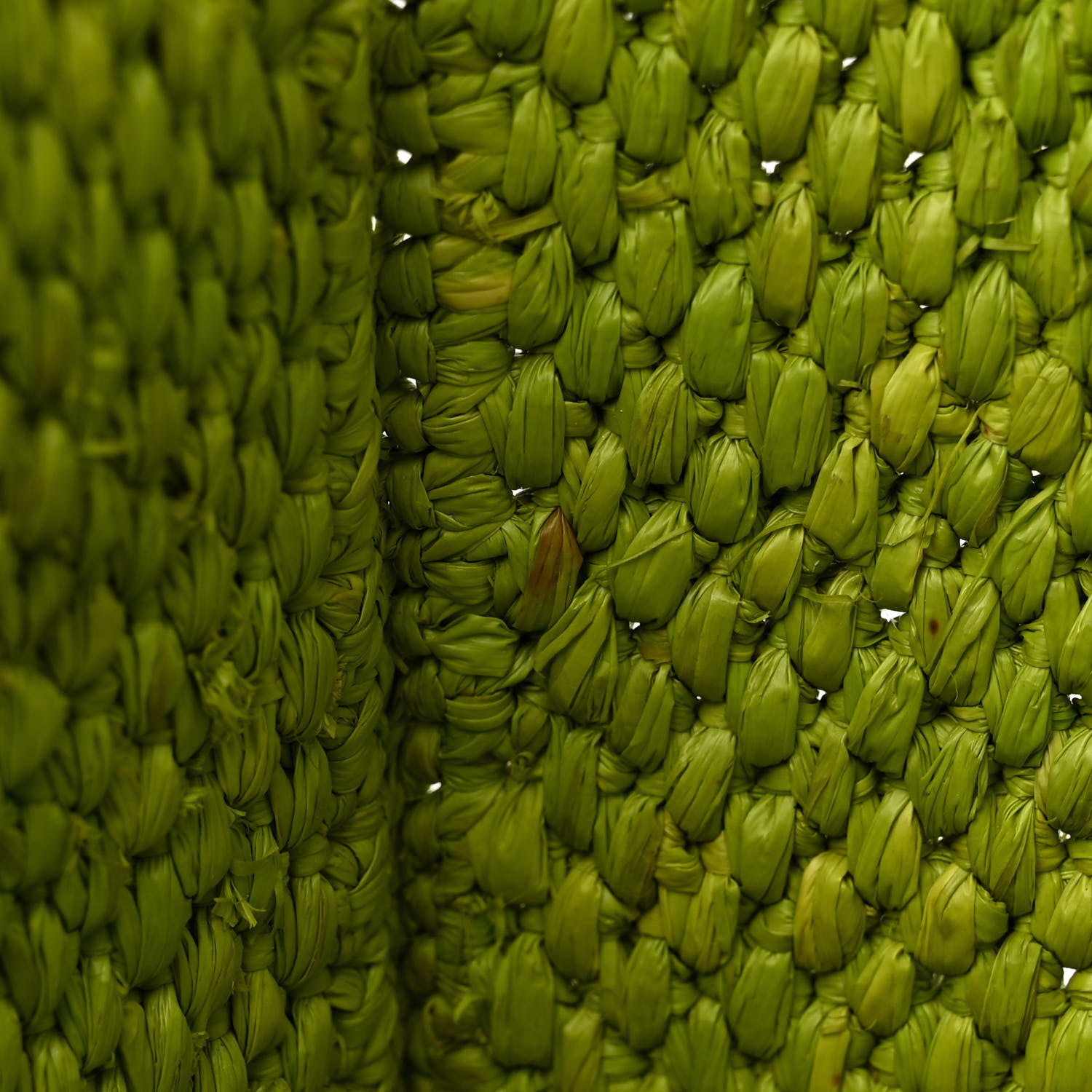 Loewe X PAULA'S IBIZA Raffia Font Tote Meadow Green 11 of 11