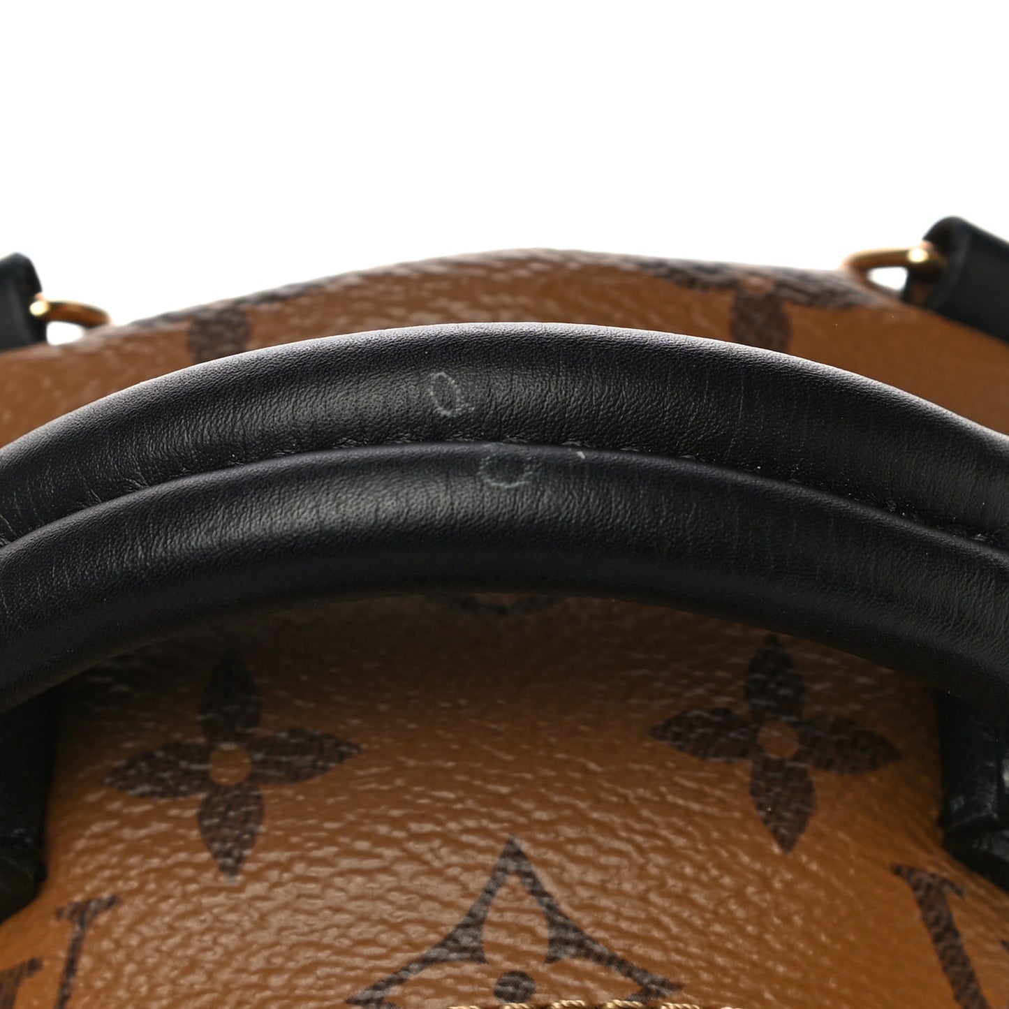 Reverse Monogram Palm Springs Backpack Mini