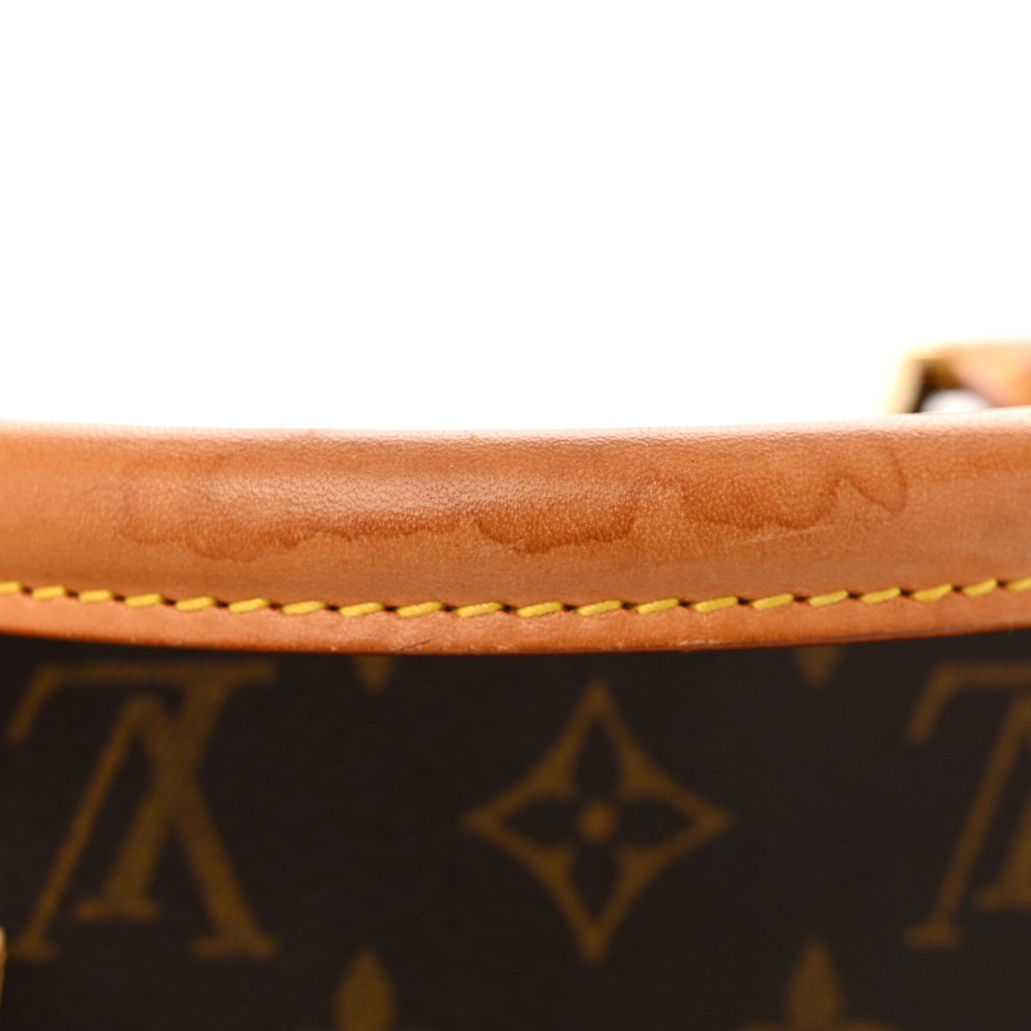 Louis Vuitton Monogram Ribera MM 12 of 12