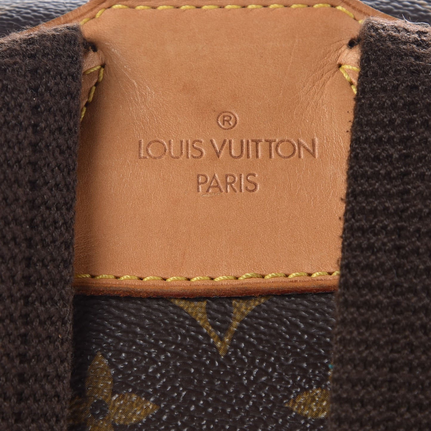 Monogram Montsouris GM Backpack