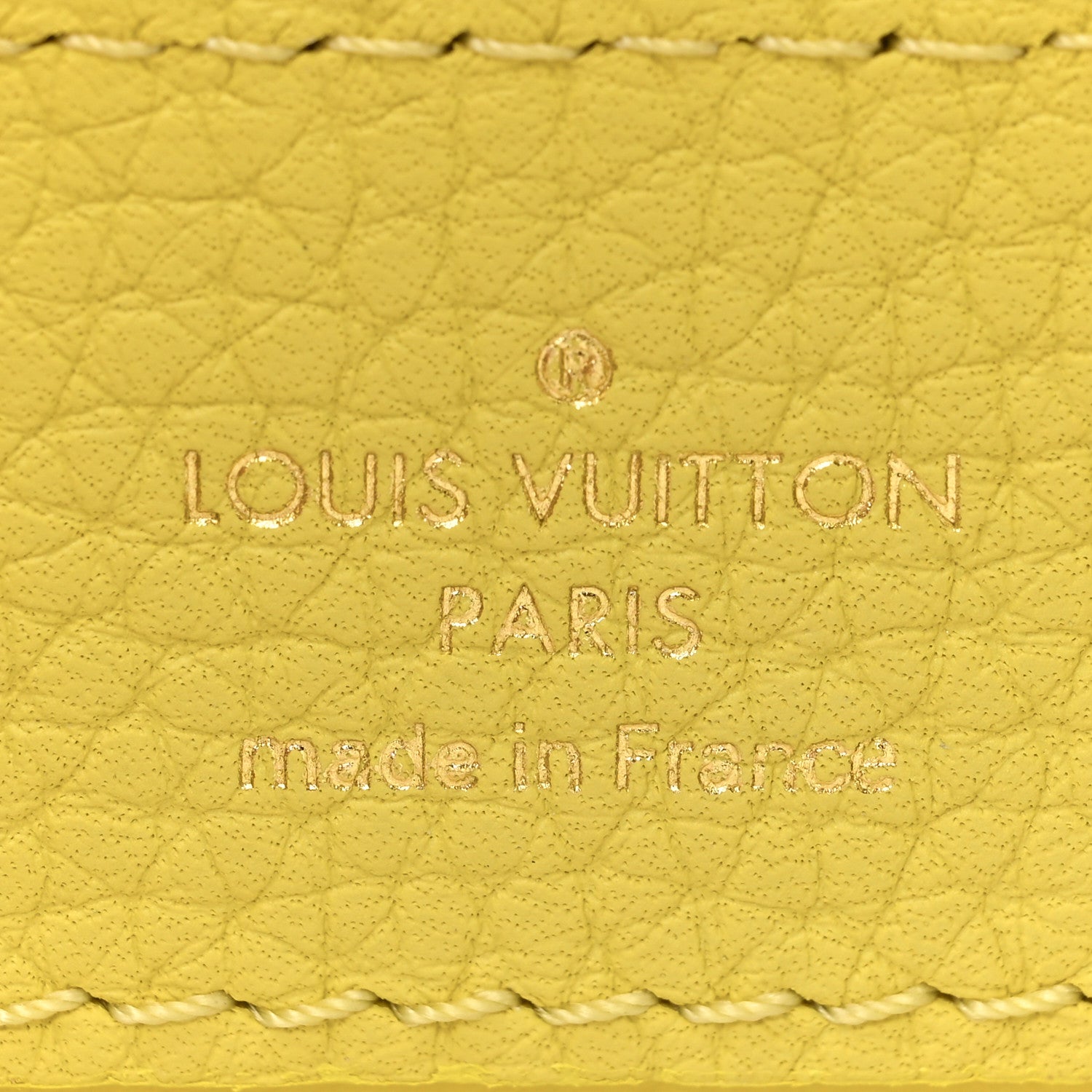 Louis Vuitton Taurillon Mini Chouchou Capucines Jaune 7 of 10