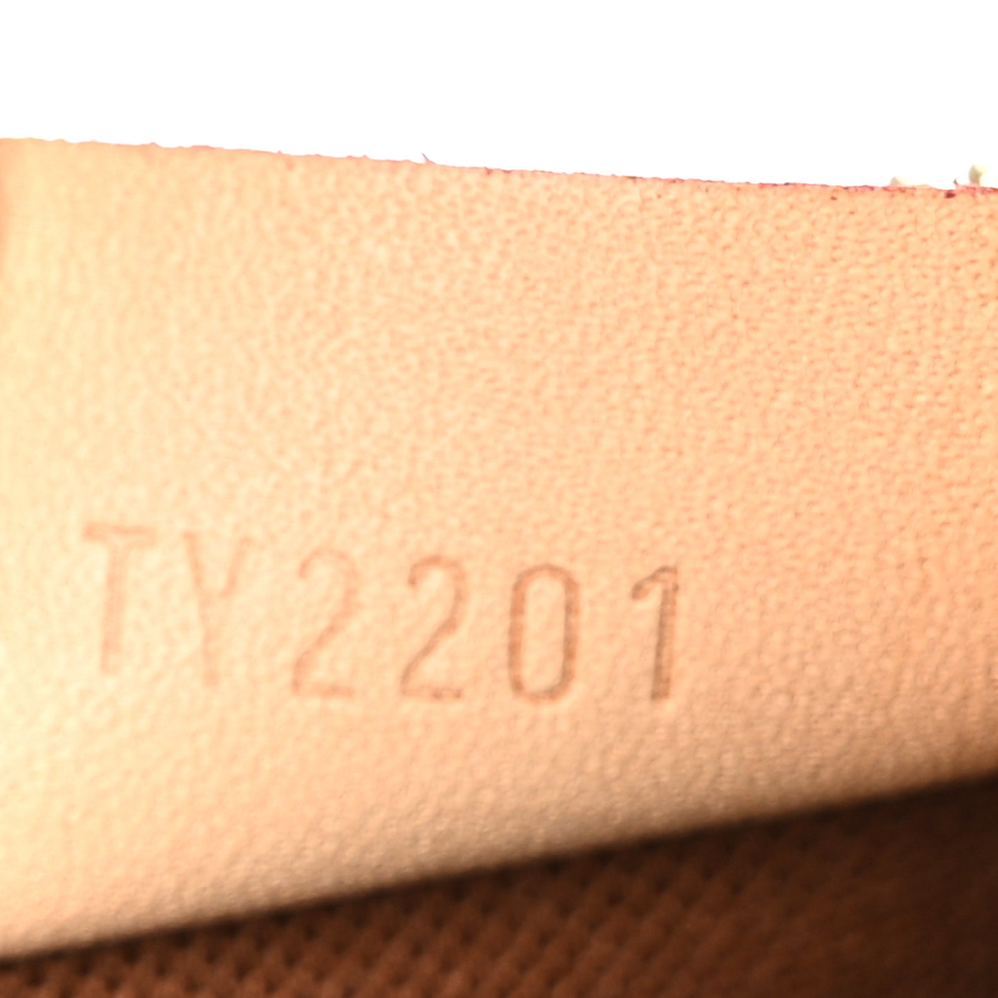 Monogram Nano Speedy