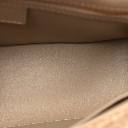 Christian Dior Calfskin Tweed Embroidered Cannage Medium Caro Bag Beige Gold 11 of 13