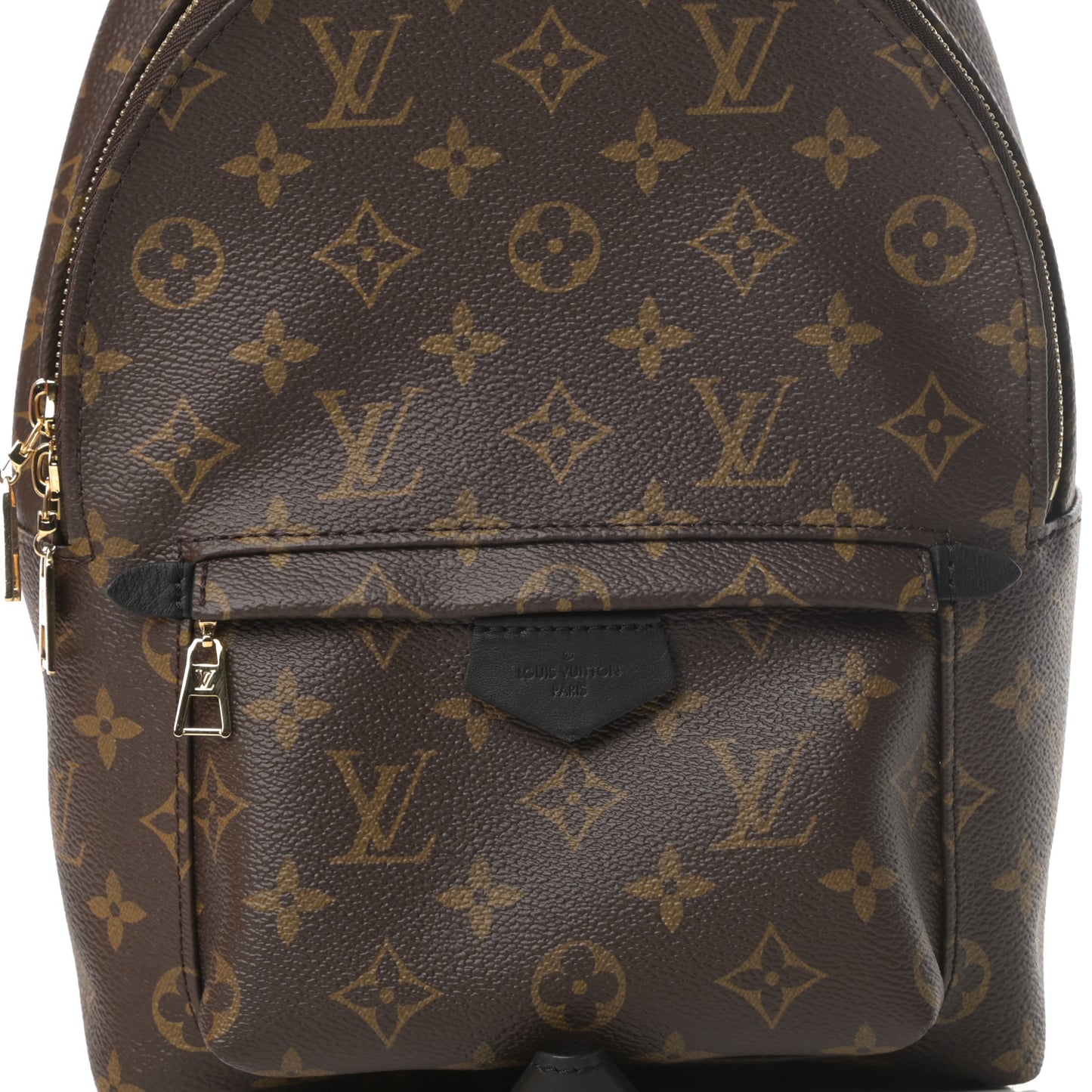 Monogram Palm Springs Backpack PM
