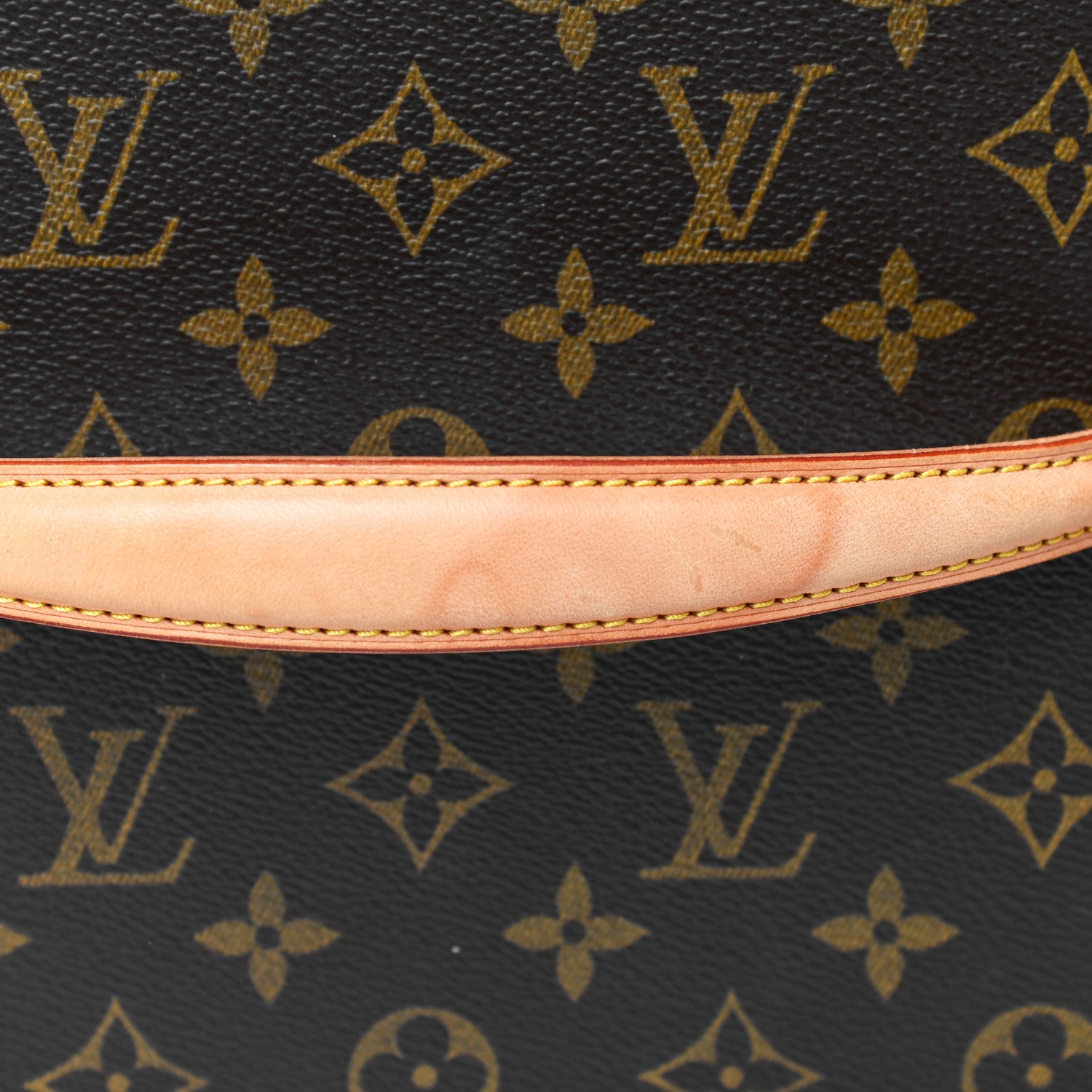 Louis Vuitton Monogram Nice 16 of 16