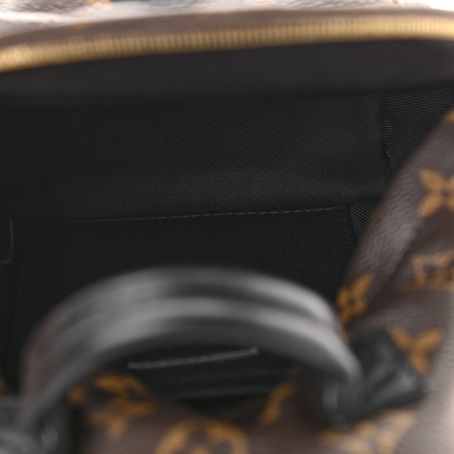 Monogram Palm Springs Backpack Mini