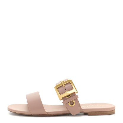 Christian Dior Calfskin D-Dior Slide Sandals 37 Rose De Vents 1 of 13