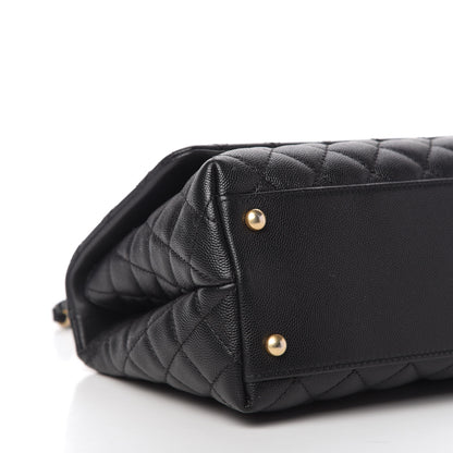 Chanel Caviar Lizard Embossed Quilted Small Coco Handle Flap 6 of 10