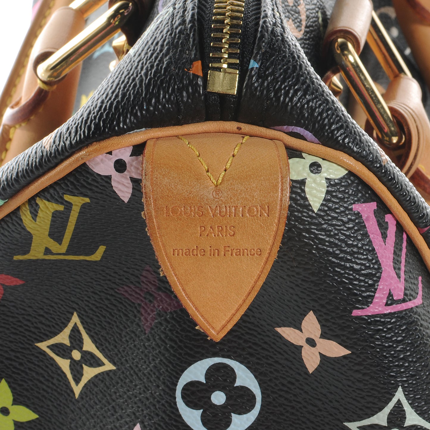 Monogram Multicolor Speedy 30 Black