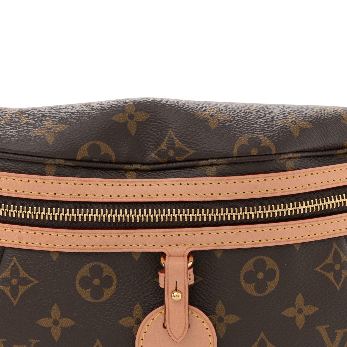 Monogram High Rise Bumbag