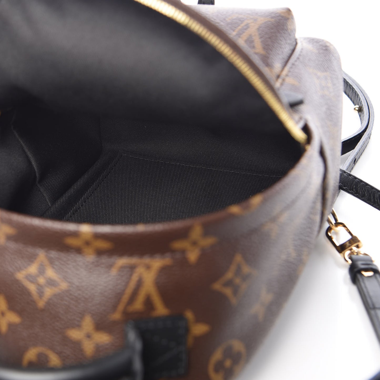 Monogram Palm Springs Backpack Mini
