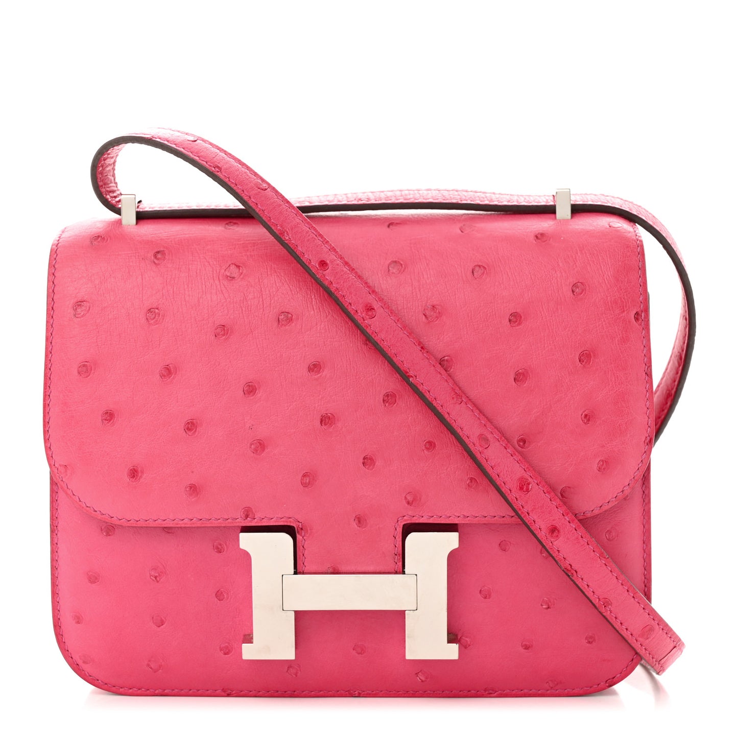 Ostrich Constance 18 Rose Pourpre